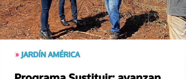 JARDÍN AMÉRICA: Programa Sustituir: avanzan las obras para modernizar la red eléctrica y garantizar un servicio más confiable